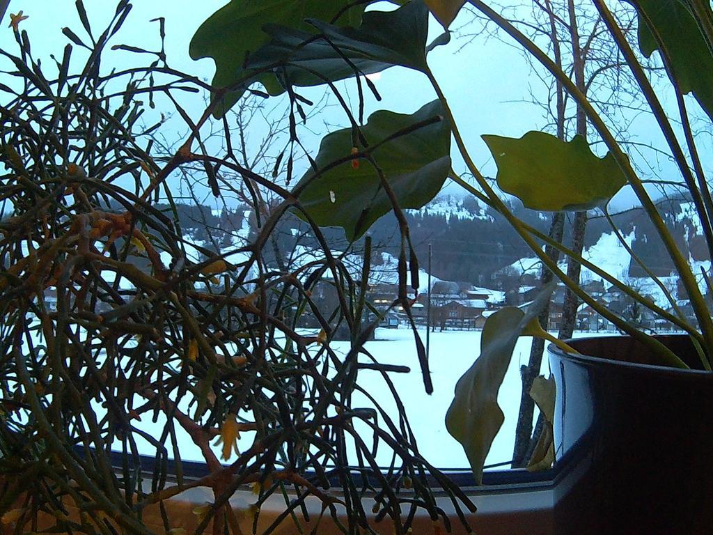 Pension Alpenblick ชาตต์วัลด์ ภายนอก รูปภาพ